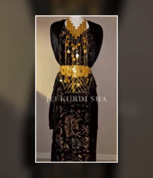 Midnight Gold Kurdish Dress